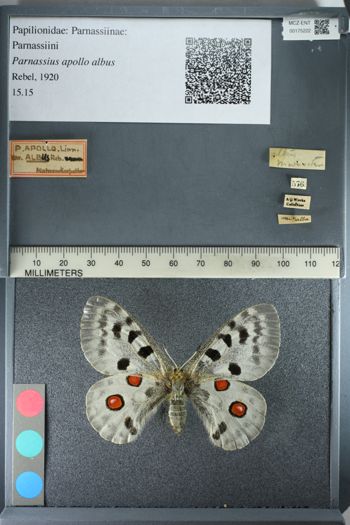 Media type: image;   Entomology 175222